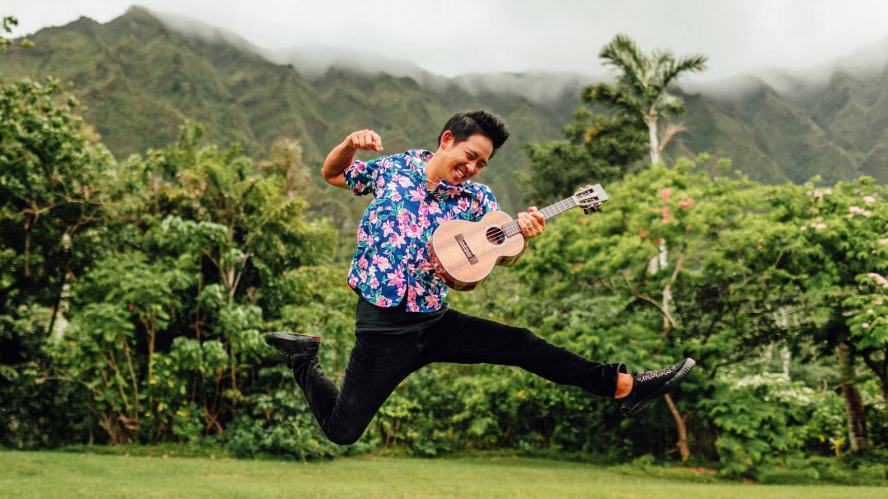 Jake Shimabukuro Landscape