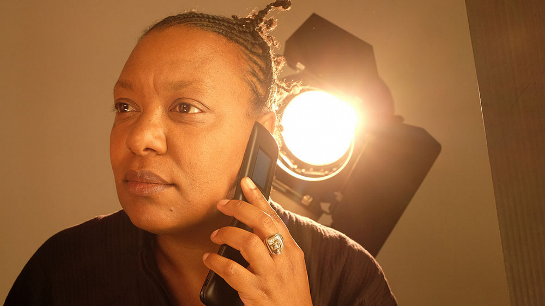 Meshell Ndegeocello Landscape