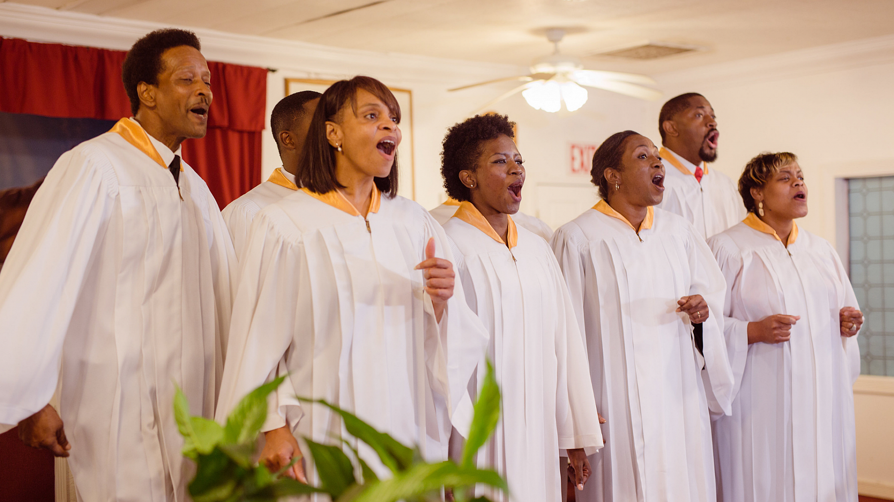 Roots Gospel Voices of Mississippi Landscape