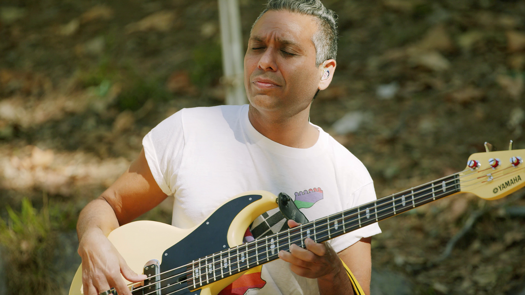 Tony Kanal Landscape