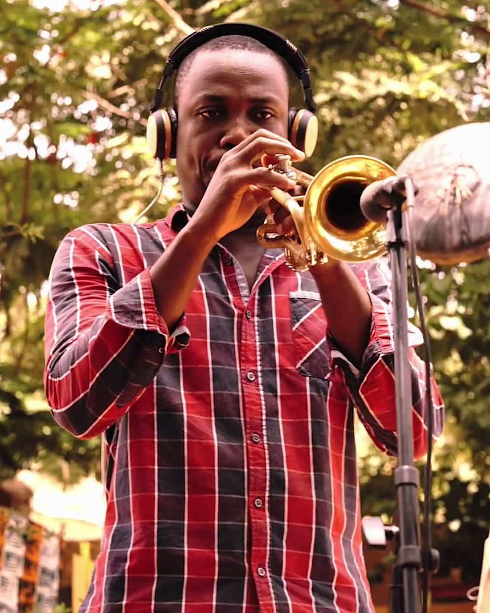 ATD Horns Portrait