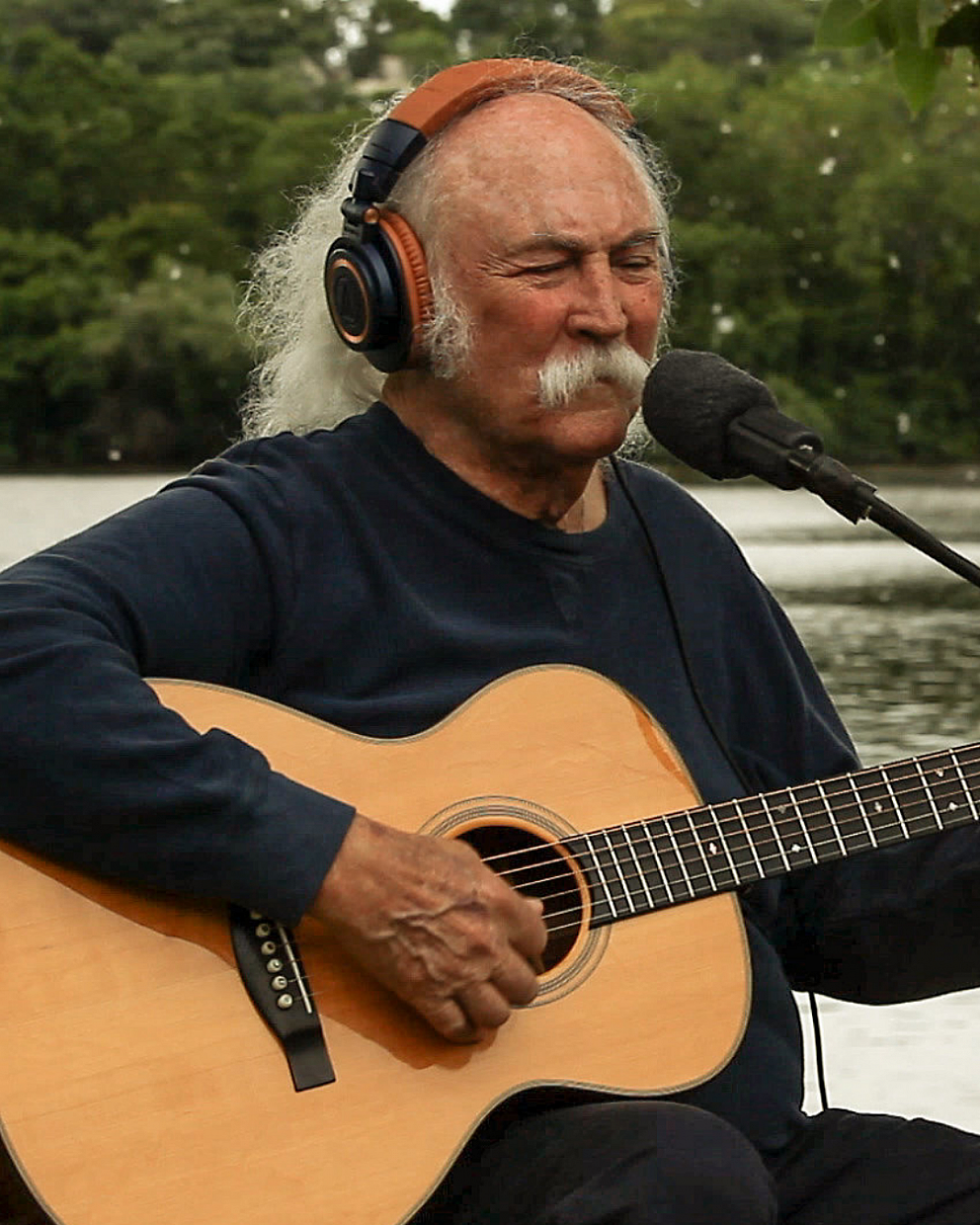 David Crosby Portrait