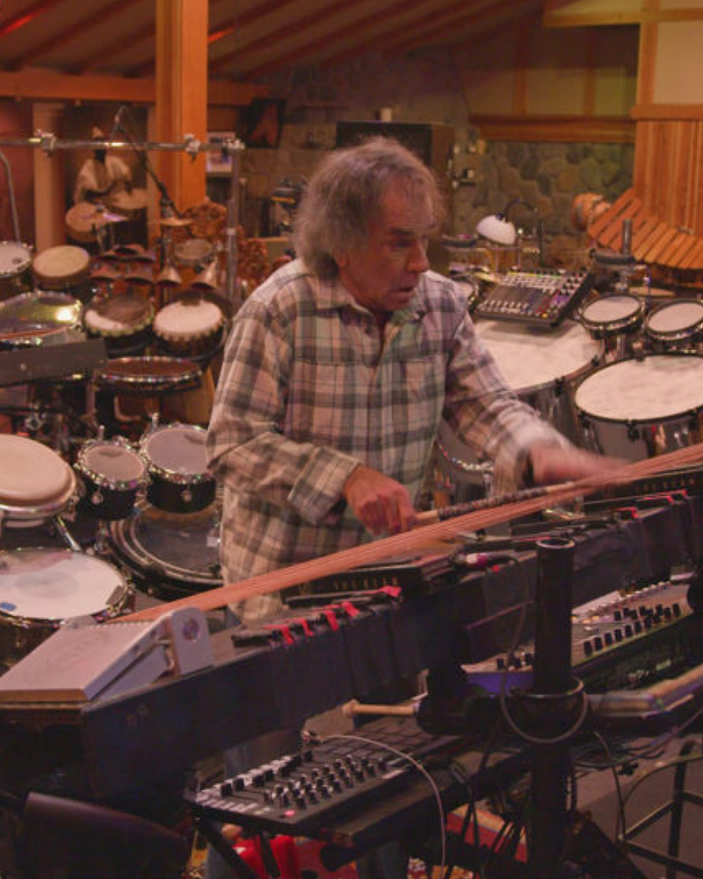Mickey Hart Portrait