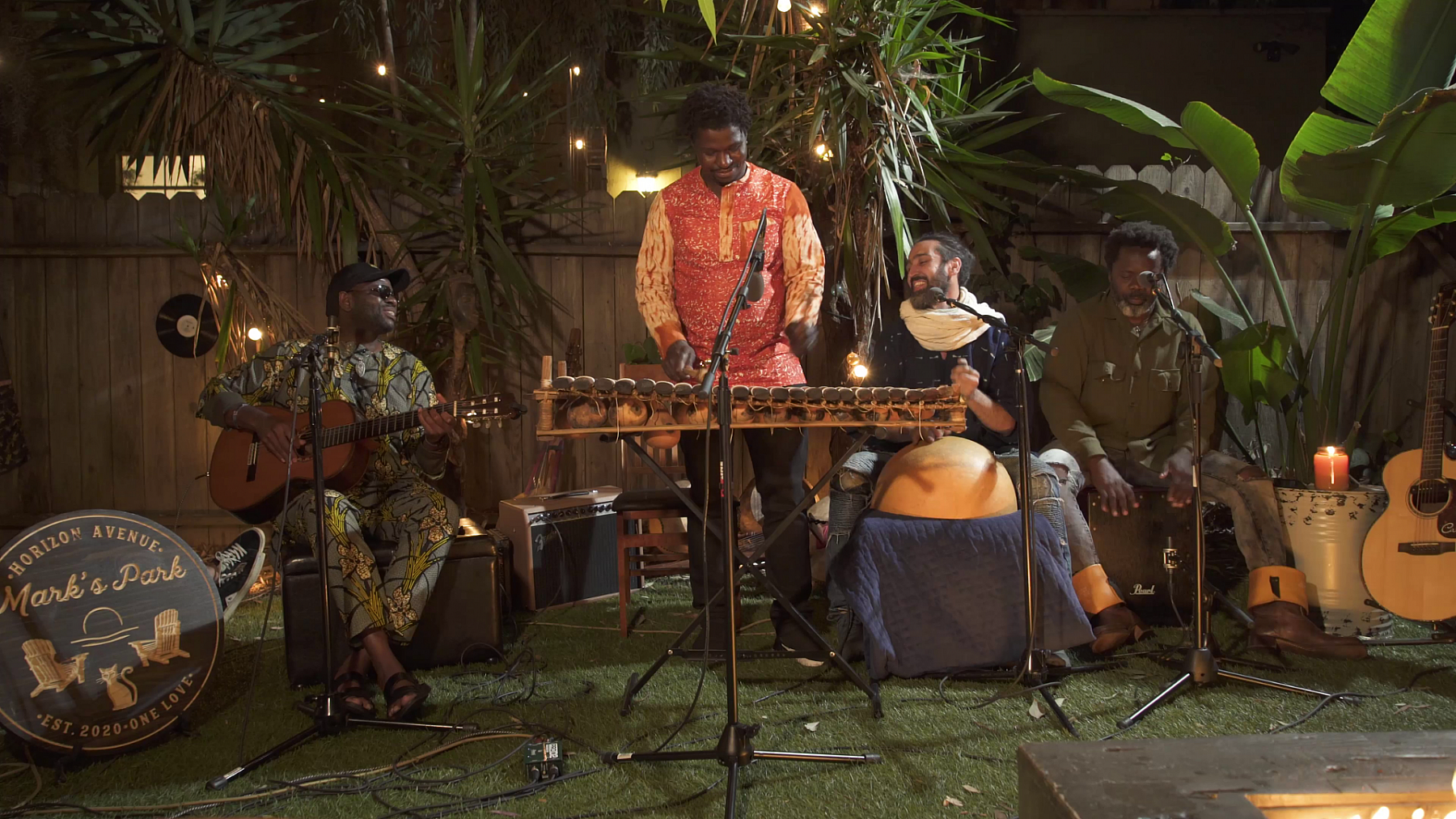 West Africa Night Marks Park thumb