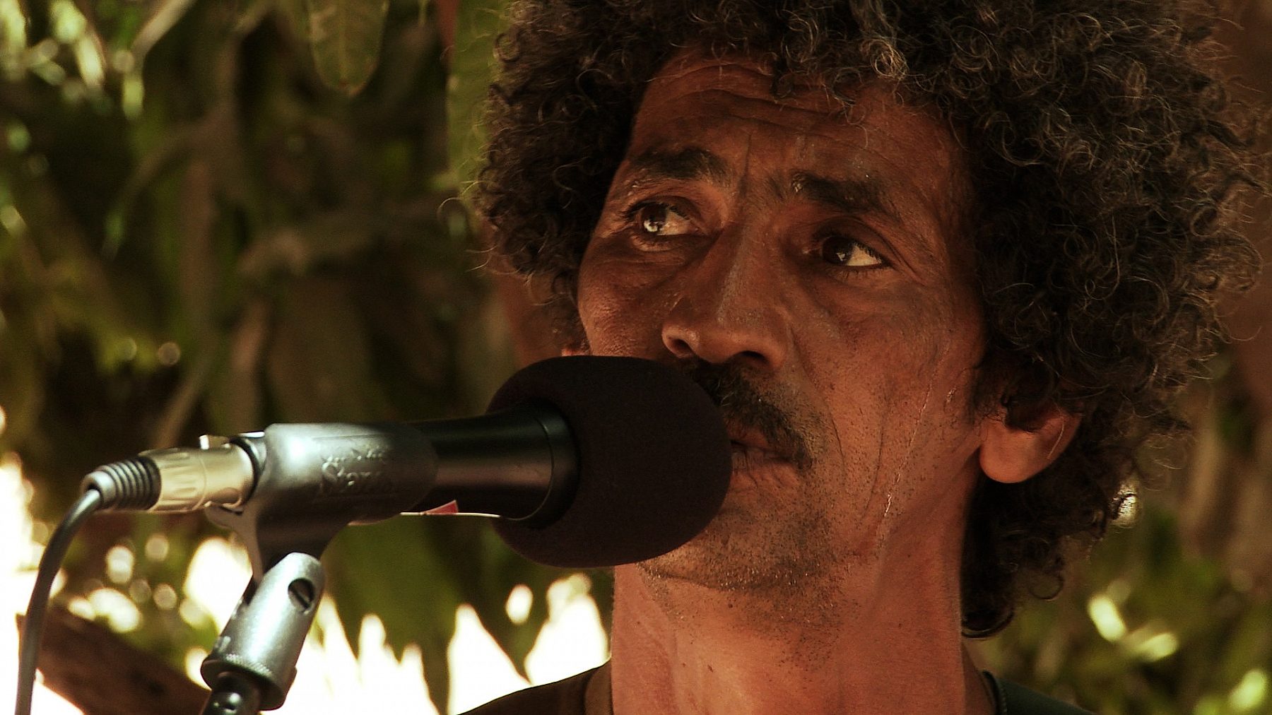 Le chant des fauves thumbnail