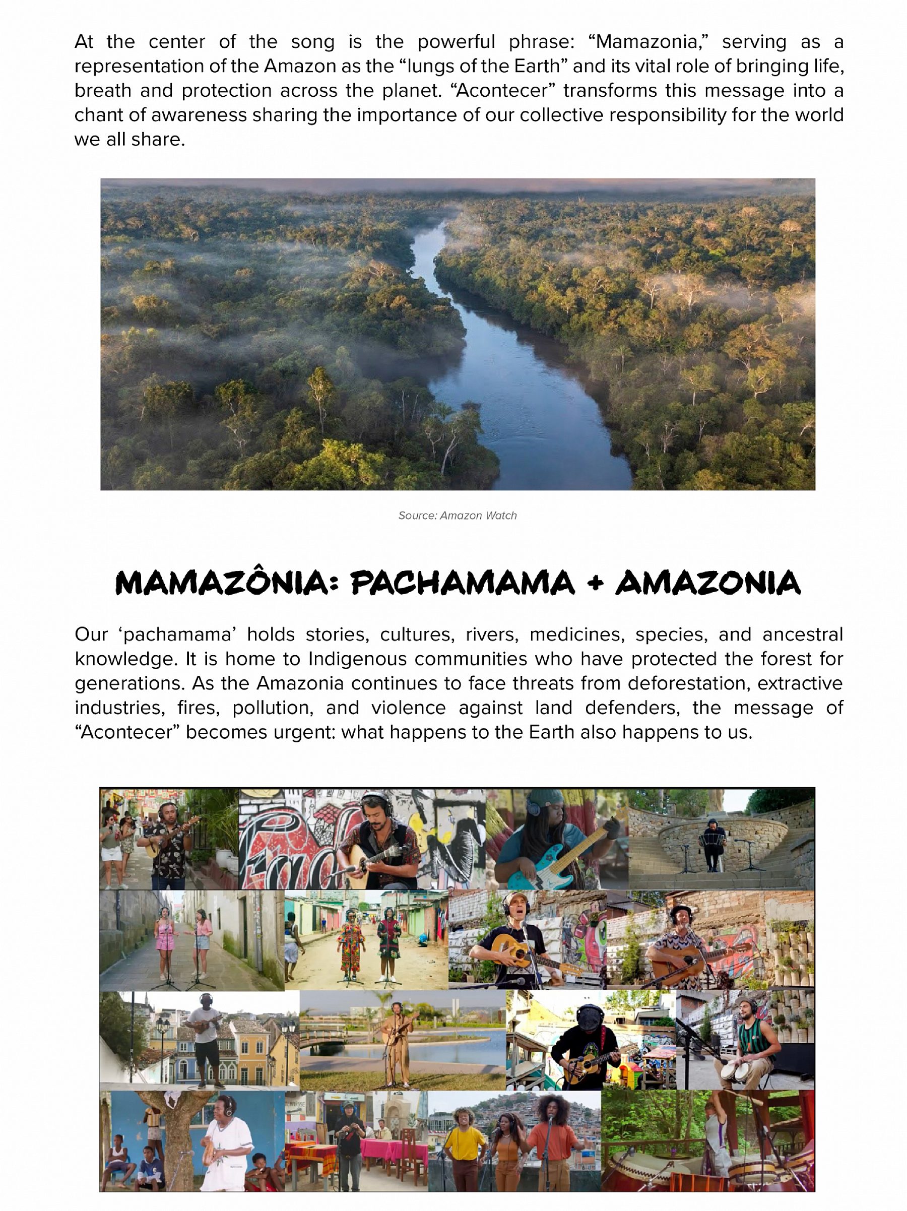 Mamazonia blog 02