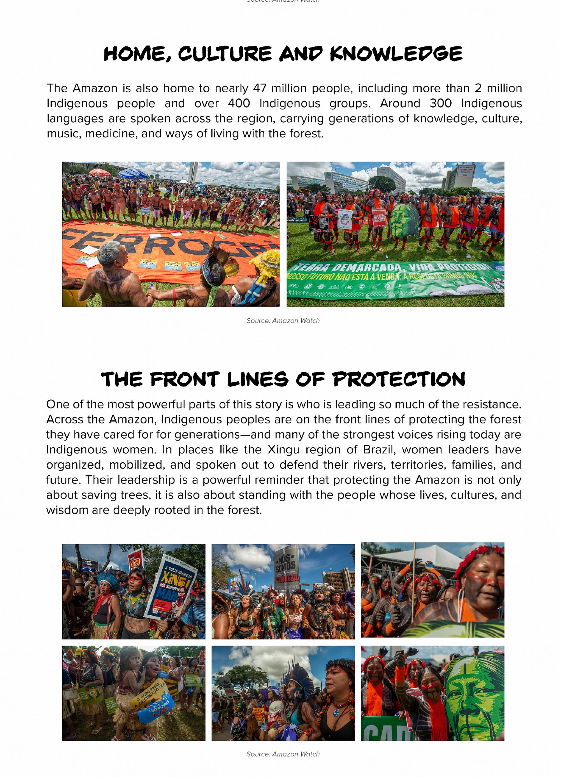 Mamazonia blog 06